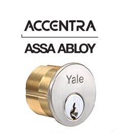 Picture for category Accentra Mortise Cylinders