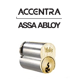 Picture for category Accentra IC Core