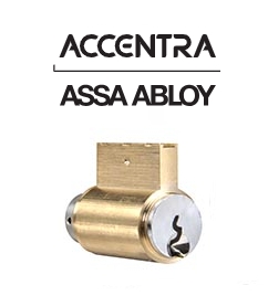 Picture for category Accentra Lever Cylinders