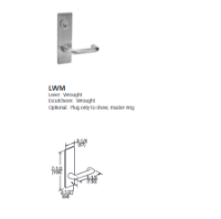 ML2024-LWM
