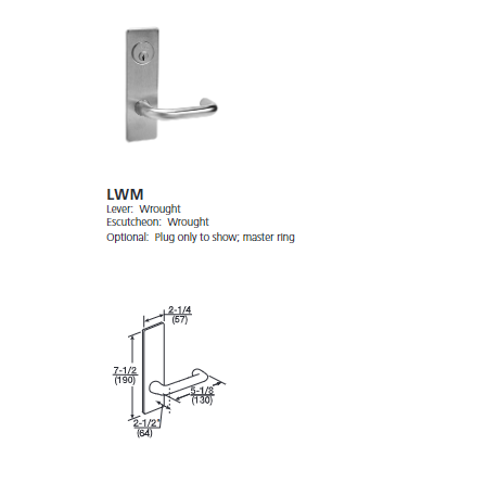 ML2024-LWM