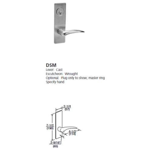 ML2024-DSM