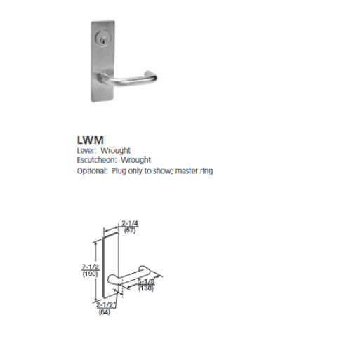ML2024-LWM
