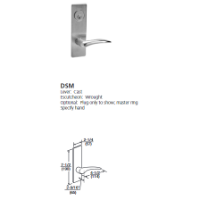 ML2024-DSM