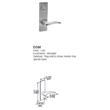 ML2024-DSM