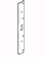 AST21381