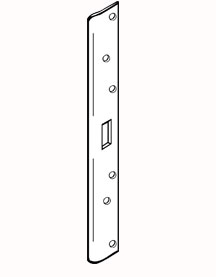 AST21381