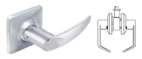 Cal-Royalman30-SQ-