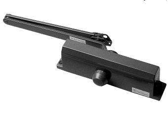SP1954