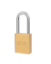 Show details for American Lock A3651-D045 1-3/4in (44mm) Solid Brass Door Key Compatible Padlock with 2in (51mm) Shackle, Schlage C A3651
