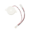 050242