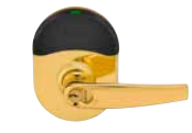 605 - Bright Brass (nde) [+$45.36]