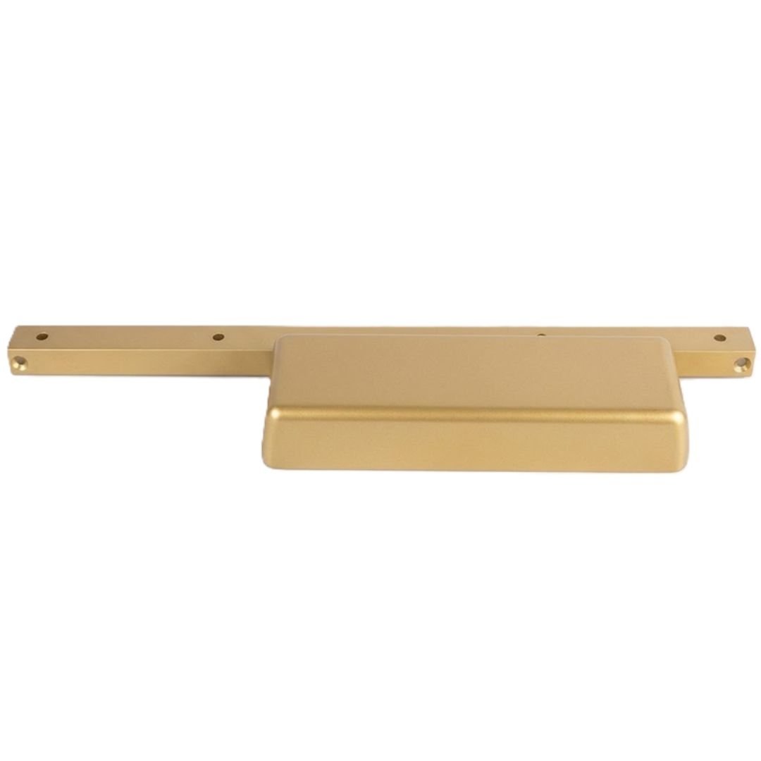 696 - Satin Brass Painted